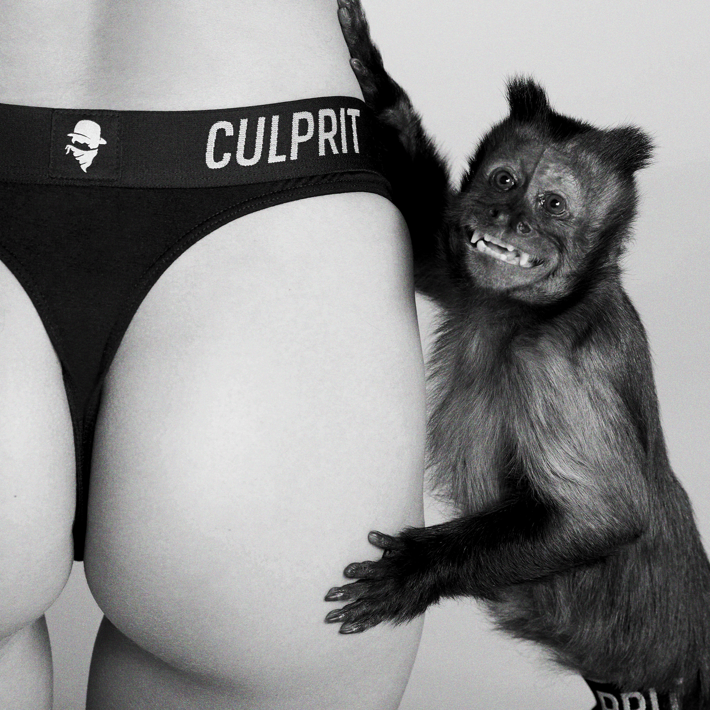 Stealth Black 🥷 Thong - Culprit Underwear - Thongs - THG - BLK - XS