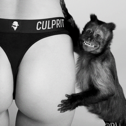 Stealth Black 🥷 Thong - Culprit Underwear - Thongs - THG - BLK - XS