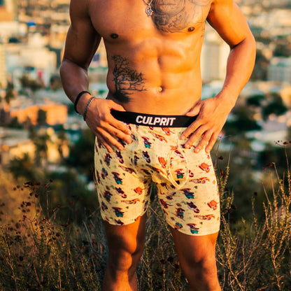 The Good The Bad and The Pugly 🌵 - Culprit Underwear - Boxer Briefs w/Fly - BB2 - PUG - S